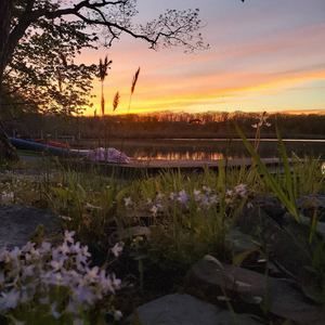 Meet your Posher, Joni